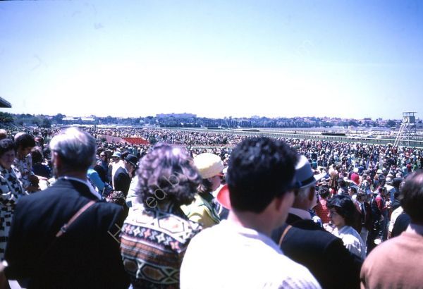 Crowds at 1972 Melbourne Cup, Flemington Racecourse, Melbourne